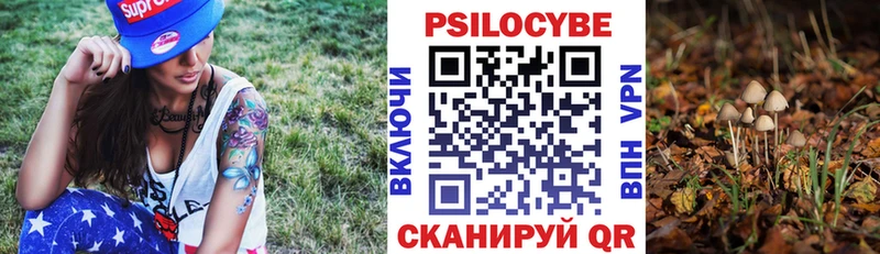 Галлюциногенные грибы мицелий  Кола 